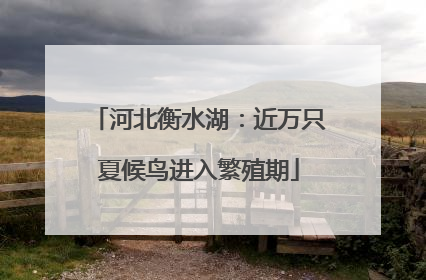 河北衡水湖：近万只夏候鸟进入繁殖期