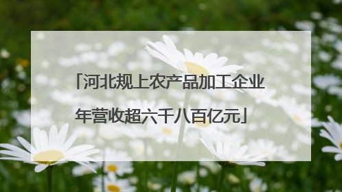 河北规上农产品加工企业年营收超六千八百亿元