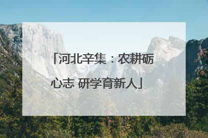 河北辛集：农耕砺心志 研学育新人