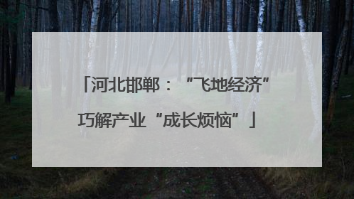 河北邯郸：“飞地经济”巧解产业“成长烦恼”
