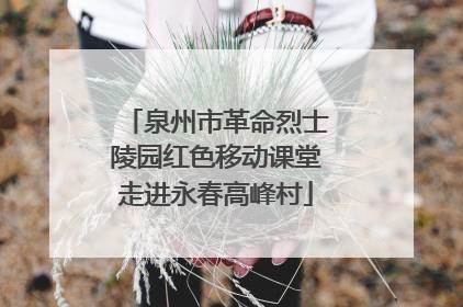 泉州市革命烈士陵园红色移动课堂走进永春高峰村