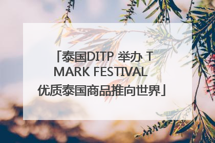 泰国DITP 举办 T MARK FESTIVAL 优质泰国商品推向世界