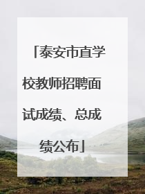 泰安市直学校教师招聘面试成绩、总成绩公布