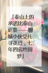 泰山上的承诺比泰山更重——聊城小伙受托寻英烈，七年四省终圆梦