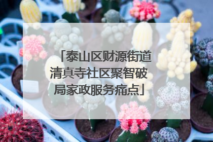泰山区财源街道清真寺社区聚智破局家政服务痛点