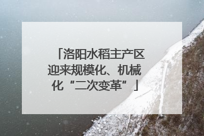 洛阳水稻主产区迎来规模化、机械化“二次变革”