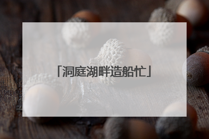 洞庭湖畔造船忙