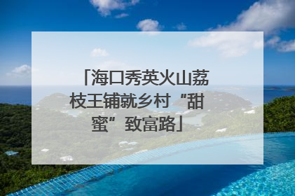 海口秀英火山荔枝王铺就乡村“甜蜜”致富路
