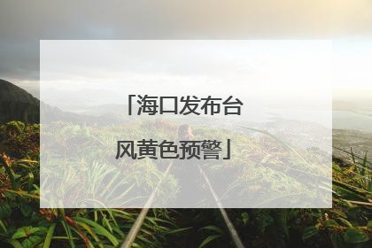海口发布台风黄色预警