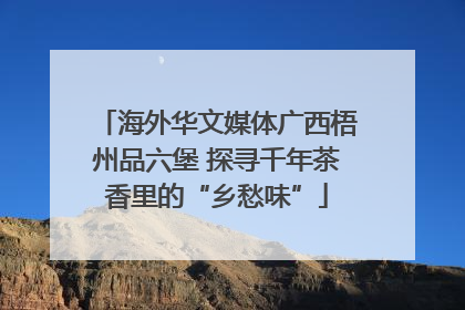 海外华文媒体广西梧州品六堡 探寻千年茶香里的“乡愁味”