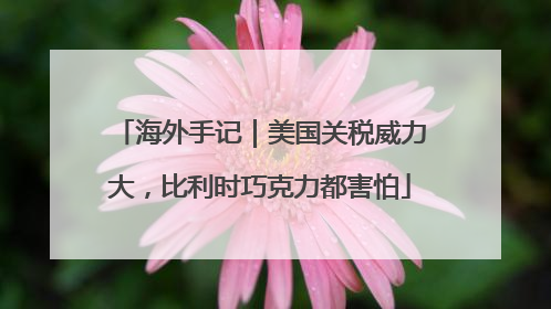 海外手记｜美国关税威力大，比利时巧克力都害怕