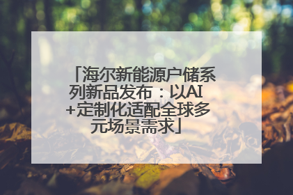 海尔新能源户储系列新品发布：以AI+定制化适配全球多元场景需求