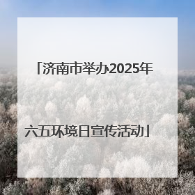 济南市举办2025年六五环境日宣传活动