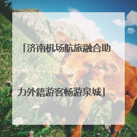 济南机场航旅融合助力外籍游客畅游泉城