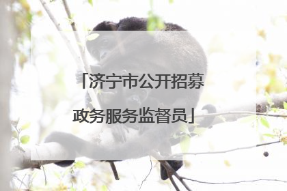 济宁市公开招募政务服务监督员