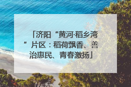 济阳“黄河·稻乡湾”片区：稻荷飘香、善治惠民、青春激扬