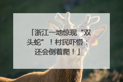 浙江一地惊现“双头蛇”！村民吓懵：还会倒着爬！