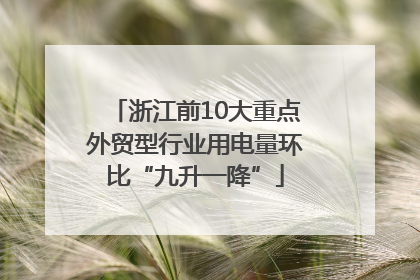 浙江前10大重点外贸型行业用电量环比“九升一降”