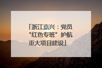 浙江嘉兴：党员“红色专班”护航重大项目建设