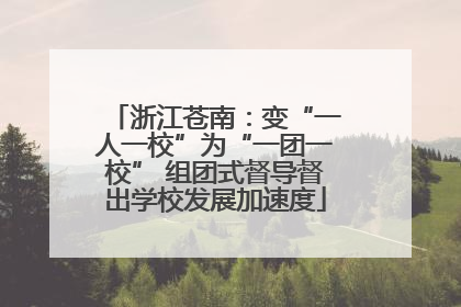 浙江苍南：变“一人一校”为“一团一校” 组团式督导督出学校发展加速度