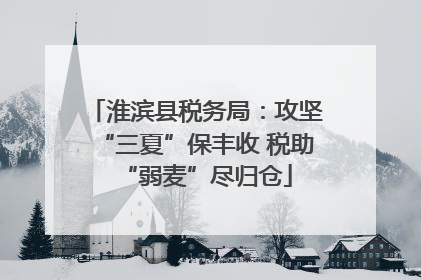 淮滨县税务局：攻坚“三夏”保丰收 税助“弱麦”尽归仓