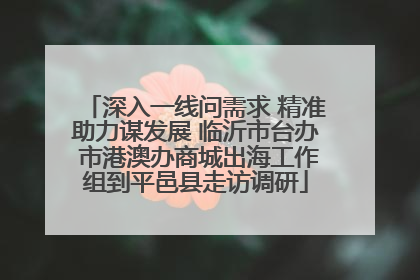 深入一线问需求 精准助力谋发展 临沂市台办 市港澳办商城出海工作组到平邑县走访调研