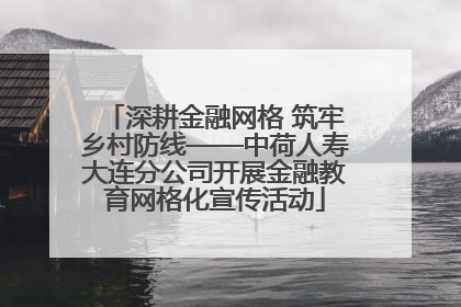 深耕金融网格 筑牢乡村防线——中荷人寿大连分公司开展金融教育网格化宣传活动