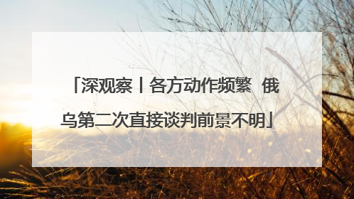 深观察丨各方动作频繁  俄乌第二次直接谈判前景不明