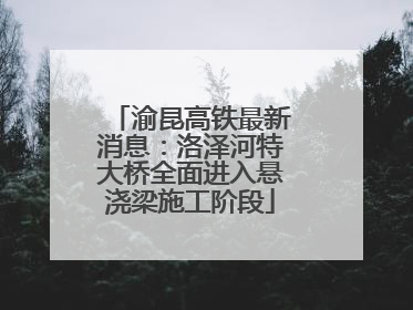 渝昆高铁最新消息：洛泽河特大桥全面进入悬浇梁施工阶段