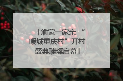 渝蒙一家亲 “暖城重庆村”开村盛典璀璨启幕