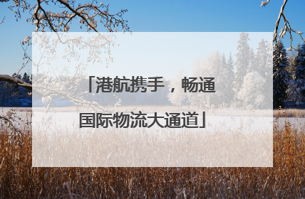 港航携手，畅通国际物流大通道