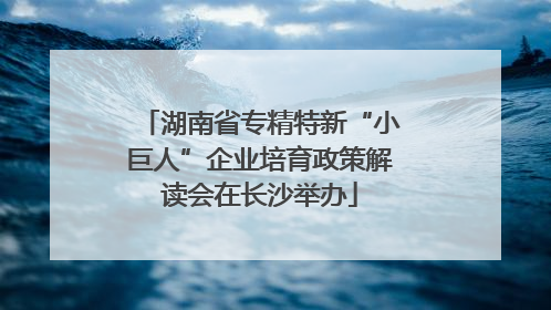 湖南省专精特新“小巨人”企业培育政策解读会在长沙举办