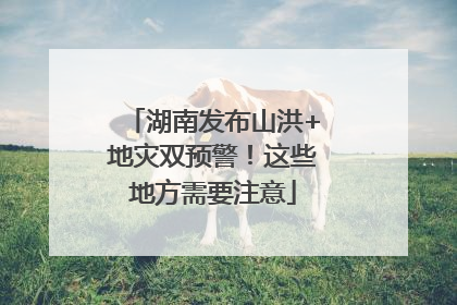 湖南发布山洪+地灾双预警！这些地方需要注意