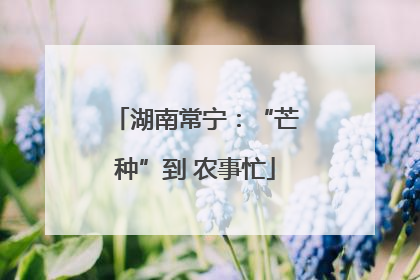 湖南常宁：“芒种”到 农事忙