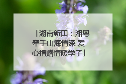 湖南新田：湘粤牵手山海情深 爱心捐赠情暖学子