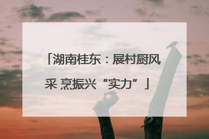 湖南桂东：展村厨风采 烹振兴“实力”