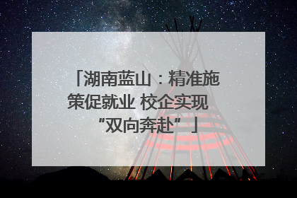 湖南蓝山：精准施策促就业 校企实现“双向奔赴”