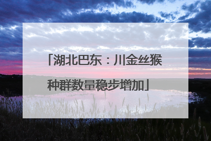 湖北巴东：川金丝猴种群数量稳步增加