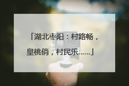 湖北枣阳：村路畅，皇桃俏，村民乐……