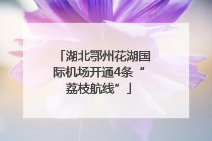 湖北鄂州花湖国际机场开通4条“荔枝航线”