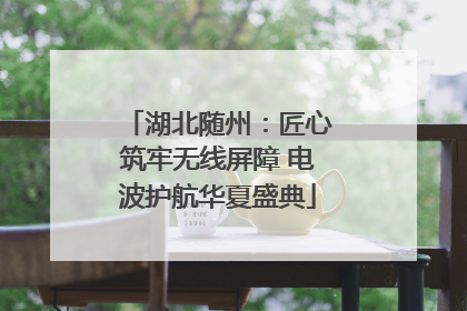 湖北随州：匠心筑牢无线屏障 电波护航华夏盛典