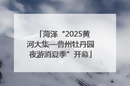菏泽“2025黄河大集—曹州牡丹园夜游消夏季”开幕