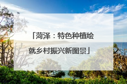 菏泽：特色种植绘就乡村振兴新图景