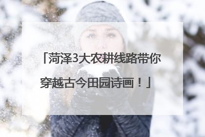 菏泽3大农耕线路带你穿越古今田园诗画！