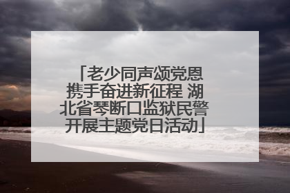 老少同声颂党恩 携手奋进新征程 湖北省琴断口监狱民警开展主题党日活动