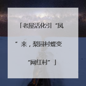 老屋活化引“凤”来，梨园村蝶变“网红村”