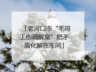 老河口市“毛哥工伤调解室”把矛盾化解在车间