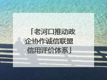 老河口推动政企协作诚信联盟信用评价体系