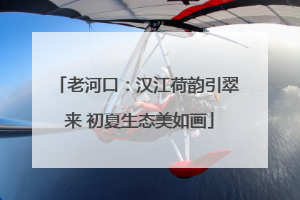 老河口：汉江荷韵引翠来 初夏生态美如画
