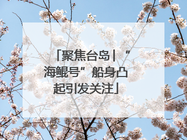 聚焦台岛│“海鲲号”船身凸起引发关注